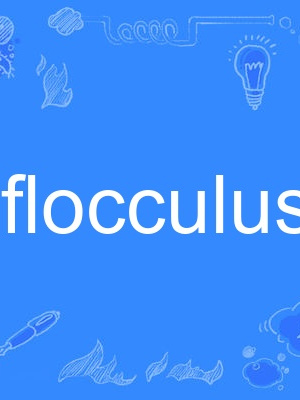 flocculus flocculus