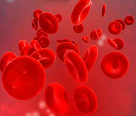 CisAB型血