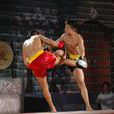 中國武術散打