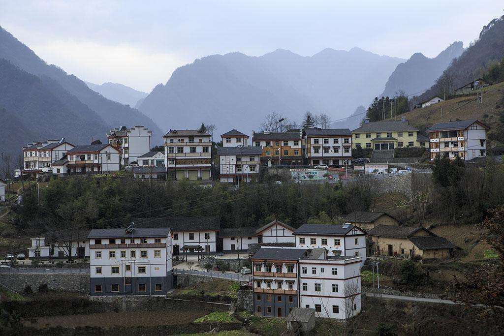 岱林鄉 岱林鄉
