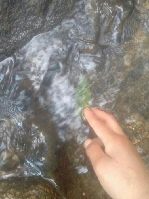 傾城天下心 傾城天下心