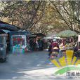 菜市街(鄭州市菜市街) 菜市街(鄭州市菜市街)
