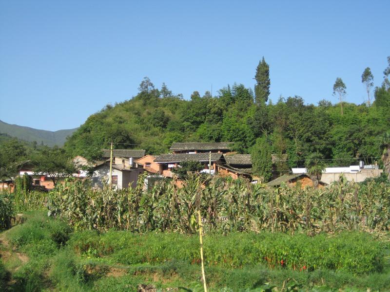 甸中迤村 甸中迤村