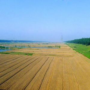 鹽城風景