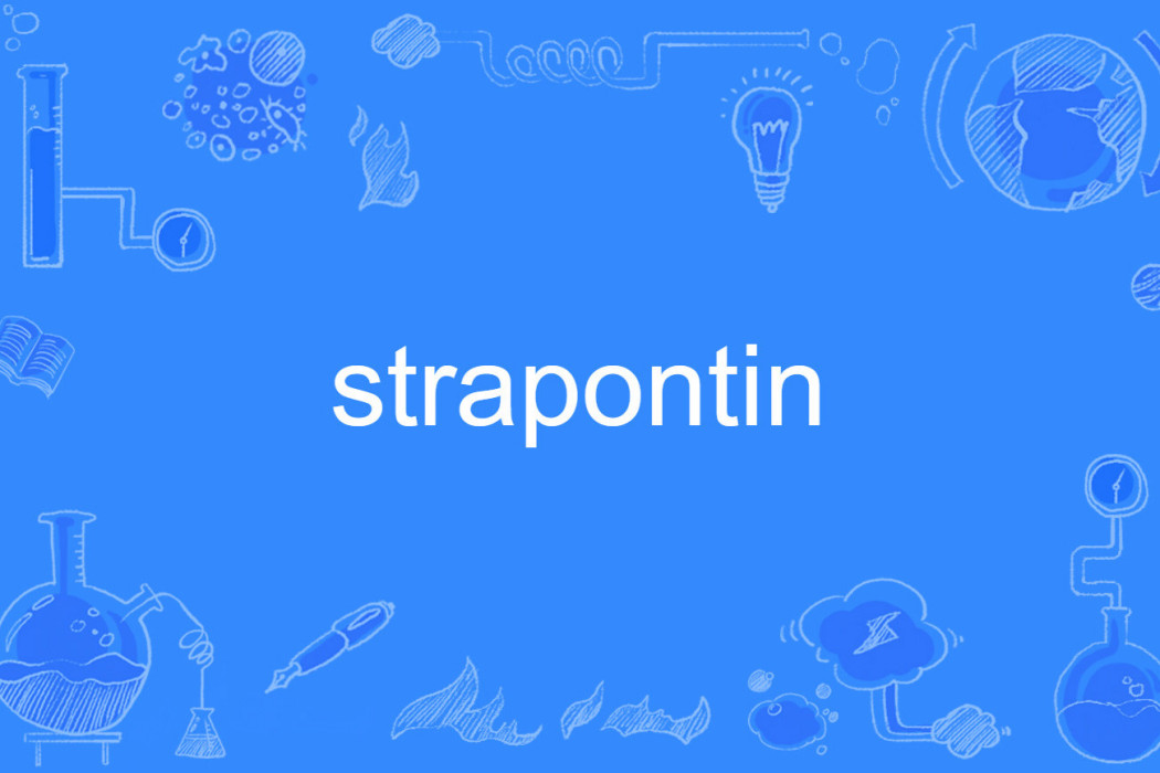 strapontin strapontin