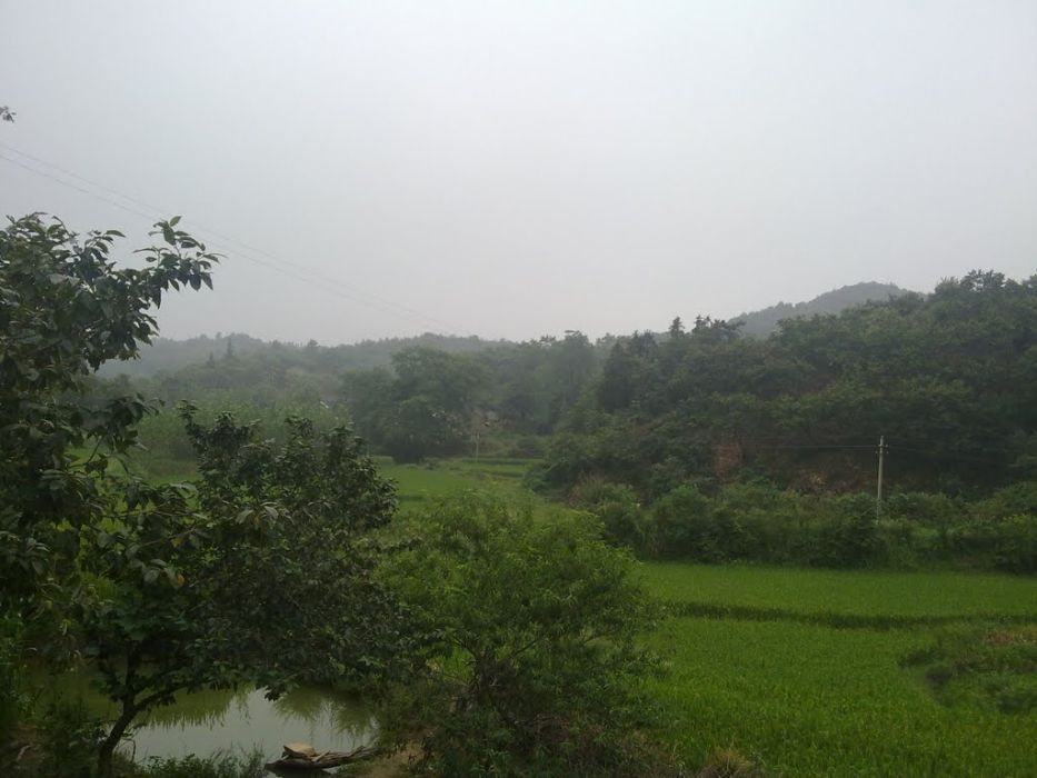 甘家沖村