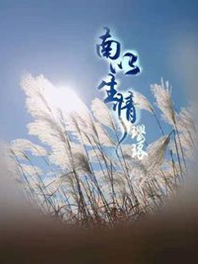 南以生情 南以生情