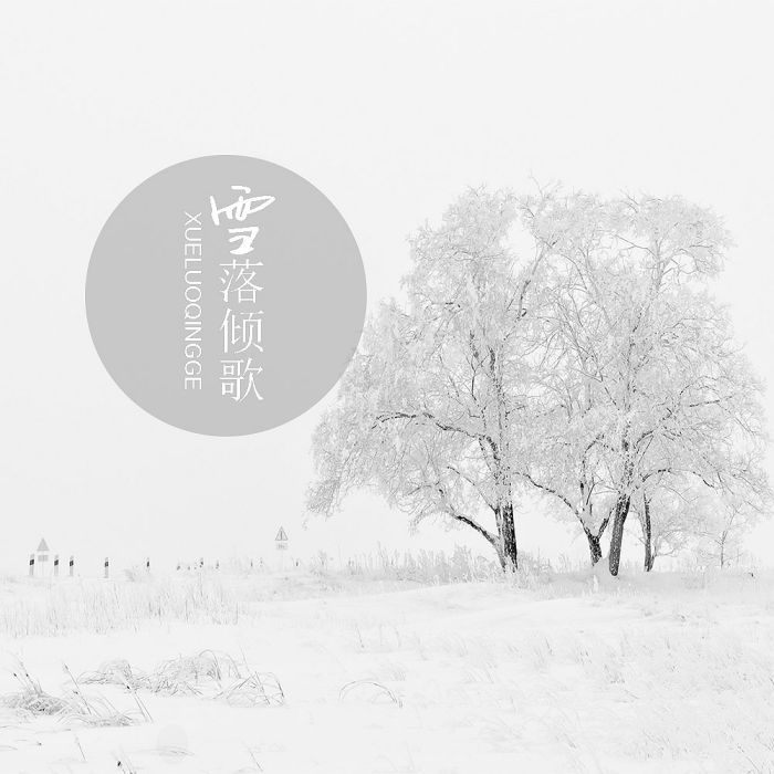 雪落傾歌 雪落傾歌