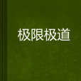 極限極道 極限極道