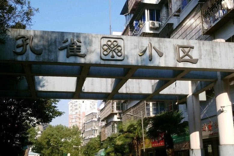 孔雀小區 孔雀小區