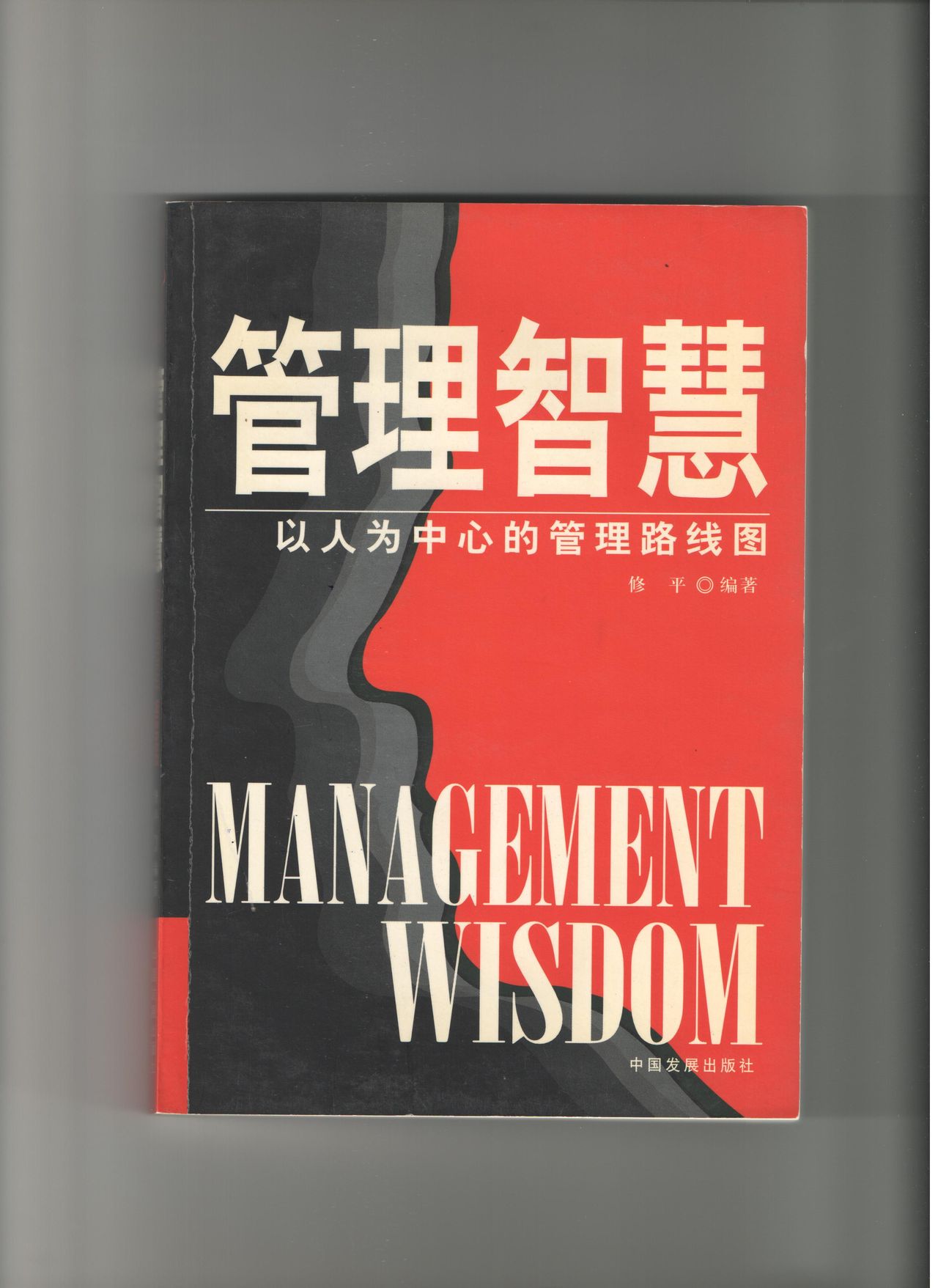 管理智慧(2005年中國發展出版社出版圖書)
