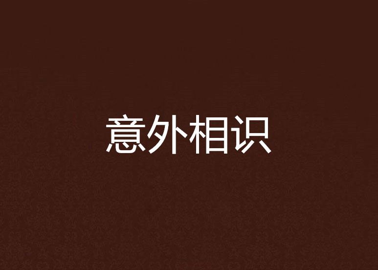 意外相識 意外相識