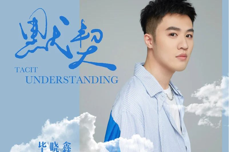 默契(畢曉鑫演唱的歌曲) 默契(畢曉鑫演唱的歌曲)