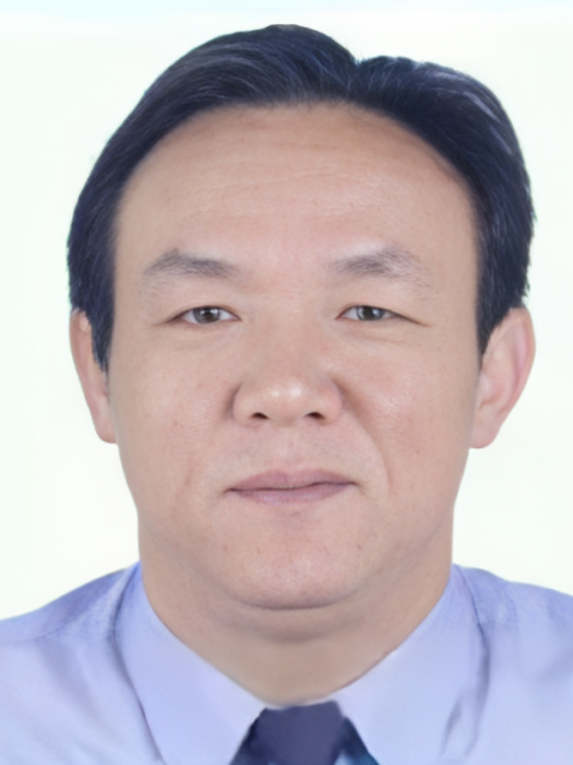 黃大發(涉黑惡犯罪嫌疑人、武漢江宏集團有限公司原董事長)