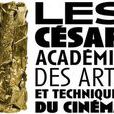 第20屆法國電影凱撒獎