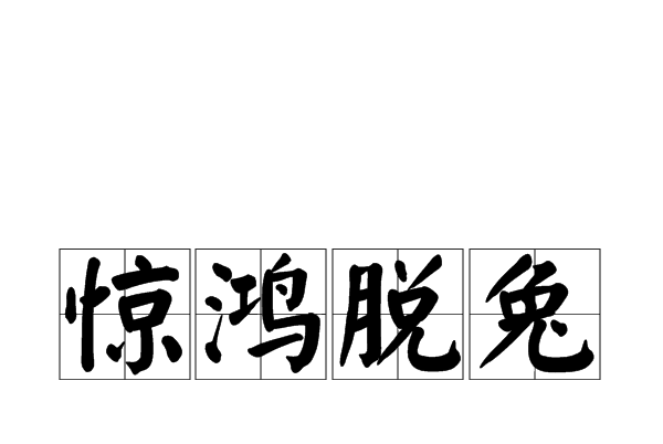 驚鴻脫兔 驚鴻脫兔