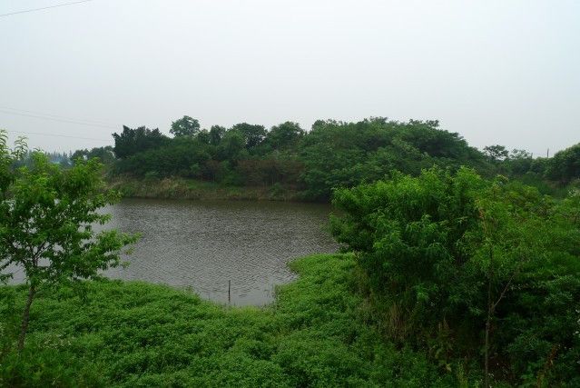 姬山遺址 姬山遺址