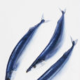 秋刀魚