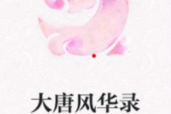 大唐風華錄 大唐風華錄