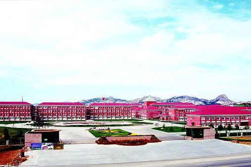 大李疃村 大李疃村