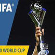國際足聯U-20世界盃(世界青年足球錦標賽)