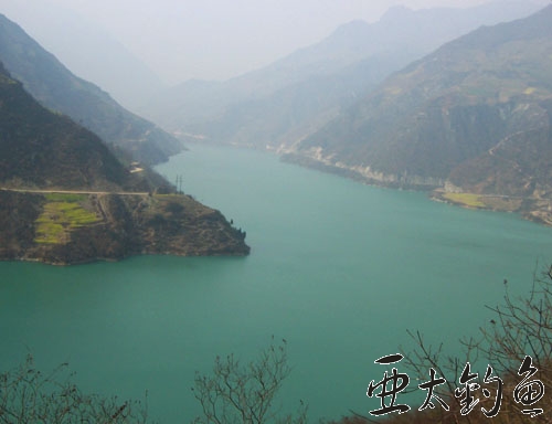 圖片左側山上的路便是連通文縣與陝川的G212