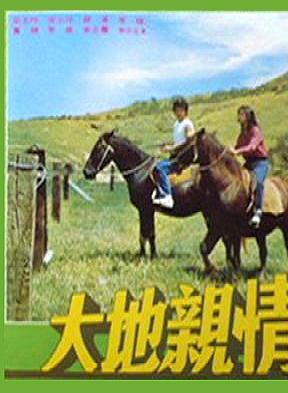 秦漢(台灣影視演員)