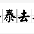 去泰去甚