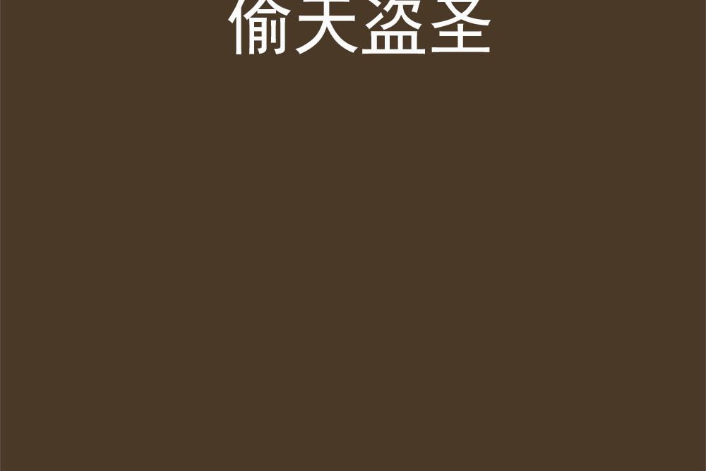 偷天盜聖
