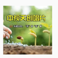 楓葉之戀 楓葉之戀