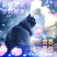 天曉易屬 天曉易屬