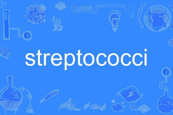 streptococci streptococci