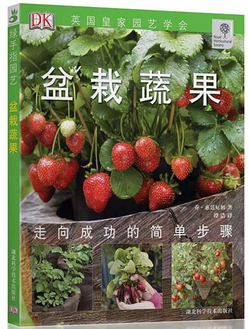 盆栽蔬果 盆栽蔬果