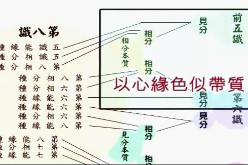 似帶質 似帶質
