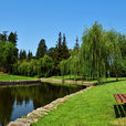 上海濱江森林公園(濱江森林公園)