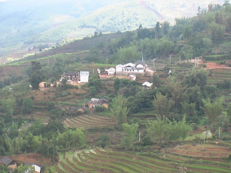 南茂河村 南茂河村