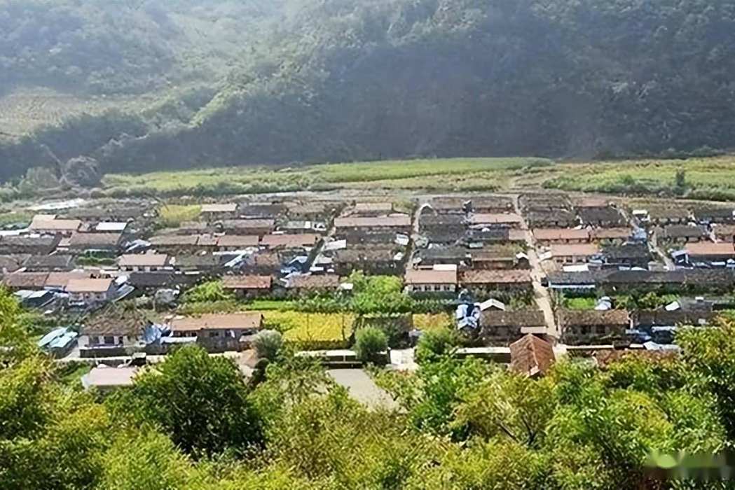 雞照村 雞照村