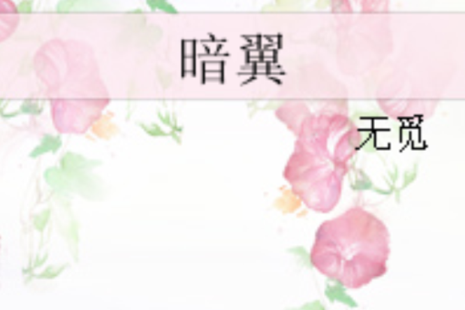 暗翼 暗翼
