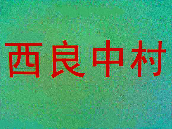 西良中村 西良中村