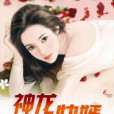神龍快婿 神龍快婿