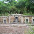 曾林(曾子墓西的古建築遺址) 曾林(曾子墓西的古建築遺址)