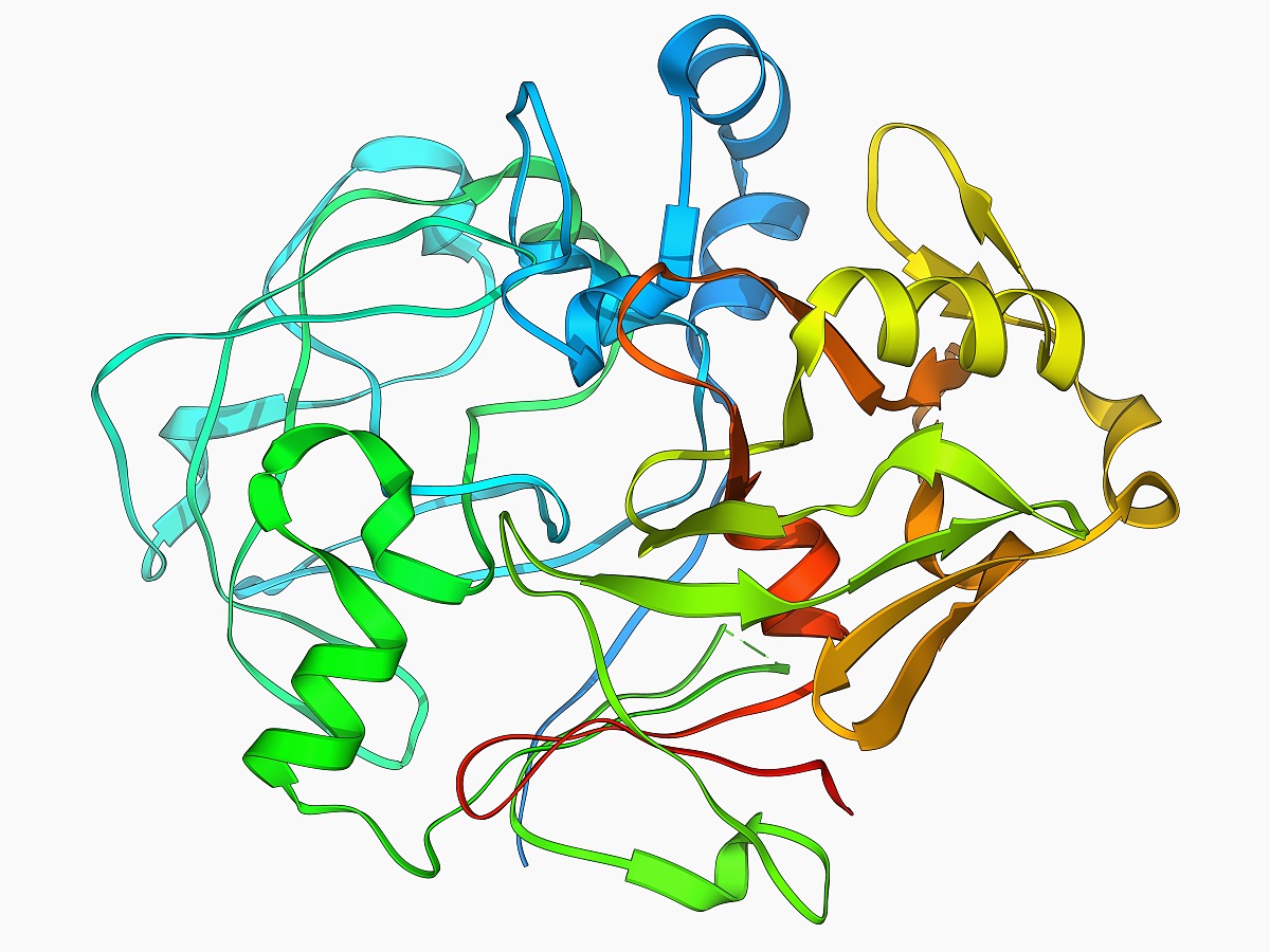 尿黑酸葉綠基轉移酶