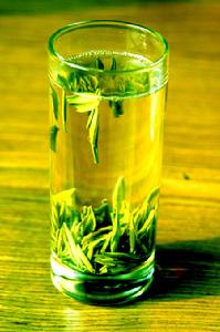 結膜乾燥症預防 綠茶