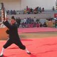 武當玄武拳 武當玄武拳