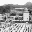 那坡中學 那坡中學