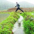 河路口鎮 河路口鎮