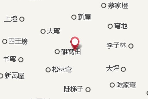蓼葉大隊 蓼葉大隊
