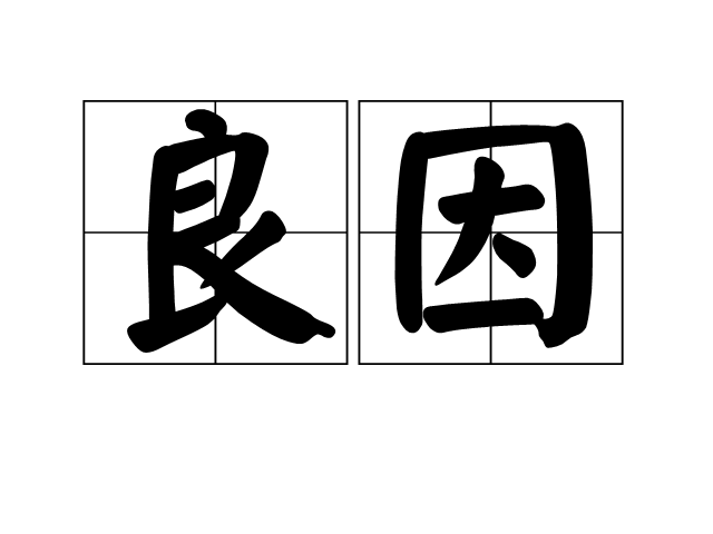 良因 良因