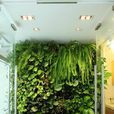 植物屏風 植物屏風