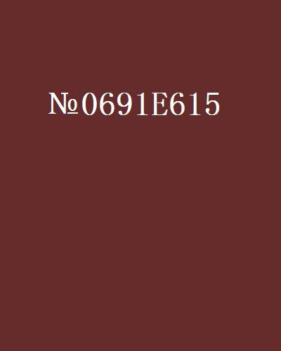 №0691E615 №0691E615